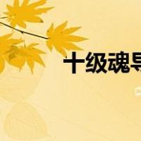十级魂导师多少集（十级魂导师）