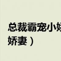 总裁霸宠小娇妻全文女主阮萌萌（总裁霸宠小娇妻）