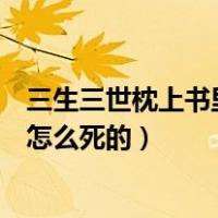 三生三世枕上书里面的阿兰若是谁（三生三世枕上书阿兰若怎么死的）