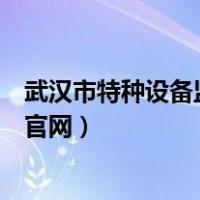 武汉市特种设备监督检验所官网（武汉特种设备监督检验所官网）