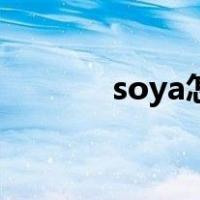 soya怎么读英语语音（soya）