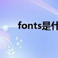 fonts是什么意思（font是什么意思）