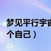 梦见平行宇宙的另一个自己（平行宇宙的另一个自己）