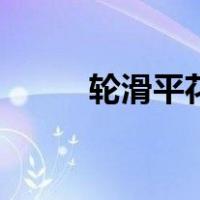 轮滑平花是什么意思（轮滑平花）