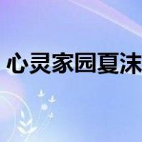 心灵家园夏沫女王是谁（心灵家园夏沫女王）