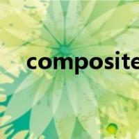 composites science and technology