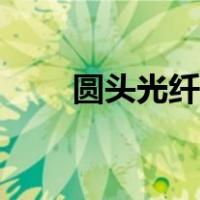 圆头光纤跳线型号（光纤跳线型号）