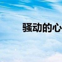 骚动的心蠢蠢欲动什么意思（骚动）