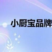 小厨宝品牌十大排名（小厨宝十大品牌）