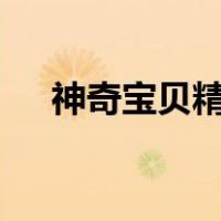 神奇宝贝精灵的本子（神奇宝贝本子h）