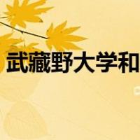 武藏野大学和武藏野美术大学（武藏野大学）