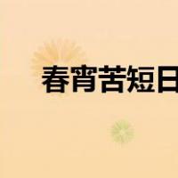春宵苦短日高起,从此君王不早朝下一句