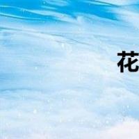 花剑比赛规则（花剑）