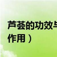 芦荟的功效与作用可以祛痘吗（芦荟的功效与作用）