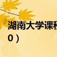 湖南大学课程中心网址（湖南大学课程中心3 0）