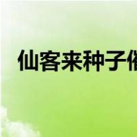 仙客来种子催芽后种植方法（仙客来种子）