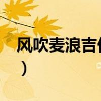风吹麦浪吉他谱c调吉他谱（风吹麦浪吉他谱）