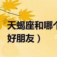 天蝎座和哪个星座是朋友（天蝎座和什么座是好朋友）