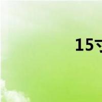 15寸多宽（15寸有多大）