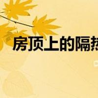 房顶上的隔热建材（房顶隔热材料有哪些）