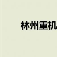 林州重机股票股吧（林州重机股票）