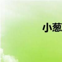 小葱花作品（小葱花资源）