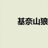 基奈山狼王真的存在吗（基奈山狼）