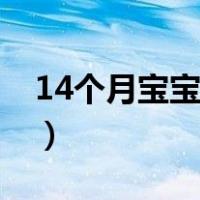 14个月宝宝早餐食谱（14个月宝宝营养食谱）