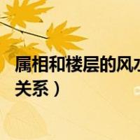 属相和楼层的风水关系（楼层风水与属相 属相与楼层风水的关系）