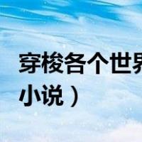 穿梭各个世界的小说叫什么（穿梭各个世界的小说）