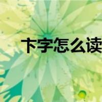 卞字怎么读音是什么意思（卞字怎么读）