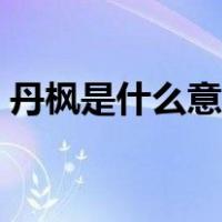 丹枫是什么意思网络用语（丹枫是什么意思）