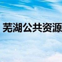 芜湖公共资源交易中心主任（芜湖公共资源）