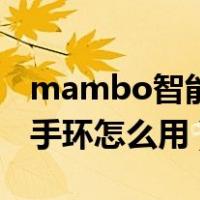 mambo智能手环有什么功能（mambo智能手环怎么用）