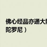 佛心经品亦通大随求陀罗尼经白话文（佛心经品亦通大随求陀罗尼）