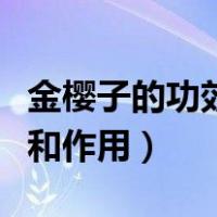 金樱子的功效和作用和副作用（金樱子的功效和作用）