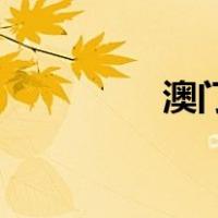 澳门风云4（澳门风云4）