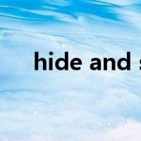 hide and seek的意思是什么,英文翻译