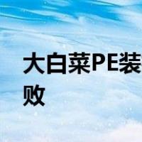 大白菜PE装机工具提示 获取硬盘分区信息失败