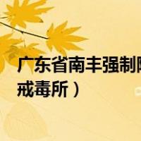 广东省南丰强制隔离戒毒所现任所长（广东省南丰强制隔离戒毒所）
