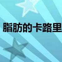 脂肪的卡路里计算公式（卡路里与脂肪换算）