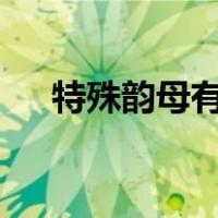 特殊韵母有哪些9个（特殊韵母有哪些）
