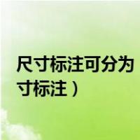 尺寸标注可分为（尺寸标注有两种类型分别是( )和永久性尺寸标注）