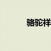 骆驼祥子中的二强子（二强子）