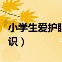 小学生爱护眼睛小知识（小学生爱眼护眼小常识）