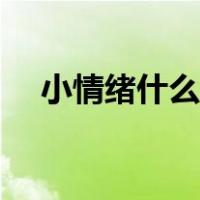 小情绪什么意思中文（小情绪什么意思）