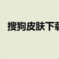 搜狗皮肤下载后怎样使用（搜狗皮肤下载）