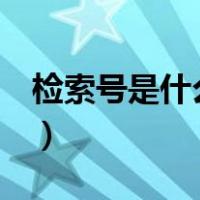 检索号是什么意思word（检索号是什么意思）