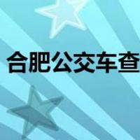 合肥公交车查询路线（合肥公交路线路查询）