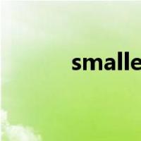 smaller是什么意思（smaller）